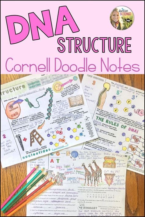Dna Structure Doodle Docs Notes Or Coloring Worksheet Dna Structure Coloring Answer Key - Dna Structure Coloring Answer Key
