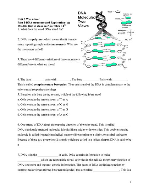 Dna Structure Worksheet Answer Key Worksheet For Education Structure Of A Root Worksheet Answers - Structure Of A Root Worksheet Answers