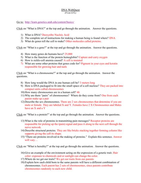 Dna Webquest Answer Sheet