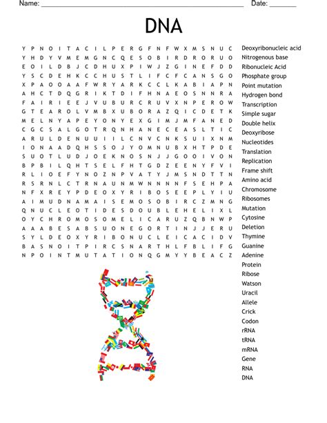 Dna Word Search Answer Key