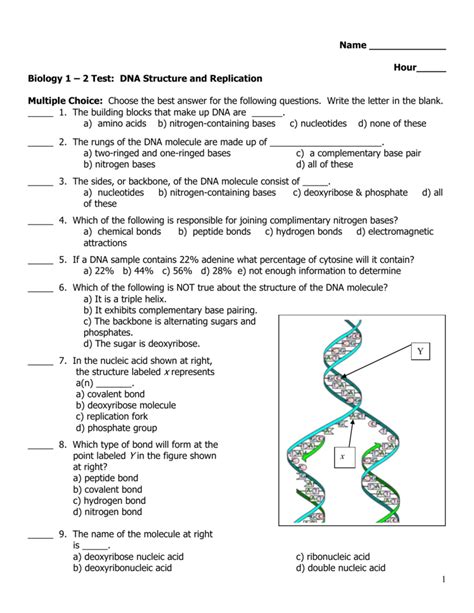 Full Download Dna And Protein Synthesis Study Guide Answers 