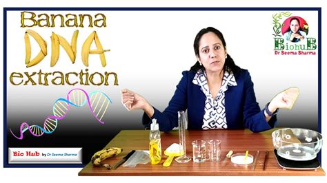 Download Dna Banana Extraction Lab Answers 