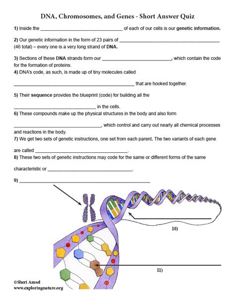Download Dna Biology Test With Answers 