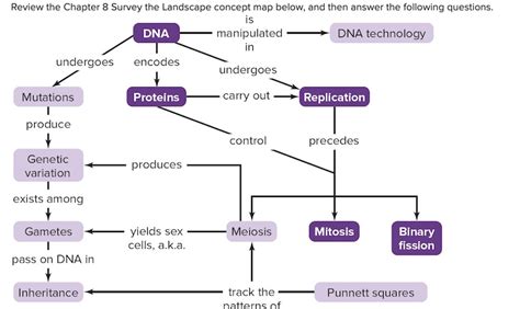 Read Dna Concept Map The Blueprint Of Life Answers Galataore 