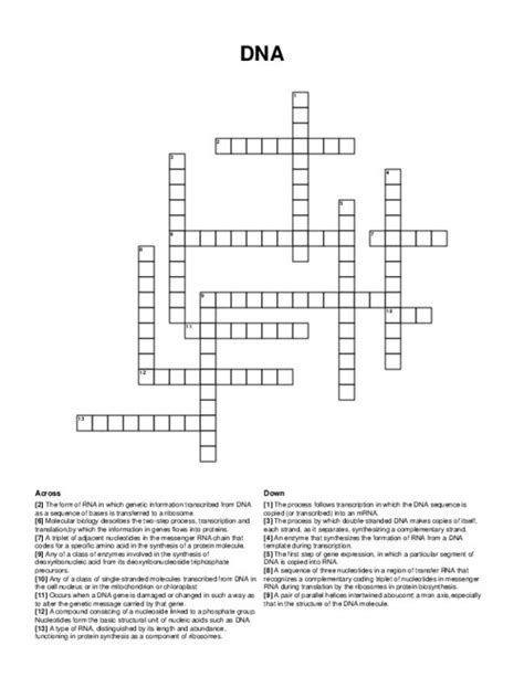 Read Dna Crossword Puzzle Answers Biology 
