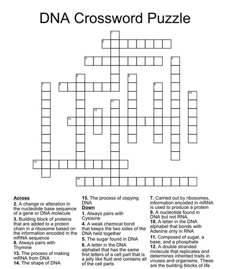 Full Download Dna Crossword Puzzle Answers Biology Larkfm 