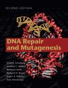 Full Download Dna Repair And Mutagenesis 2Nd Edition 