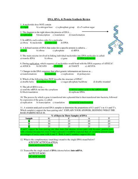 Download Dna Rna And Protein Synthesis Study Guide 