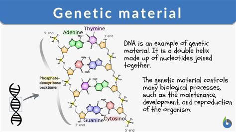 Download Dna The Genetic Material Chapter 9 
