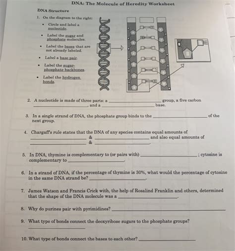 Download Dna The Molecule Of Heredity Worksheet Answers 