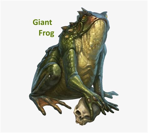 dnd 5e giant toad druid - databaseen