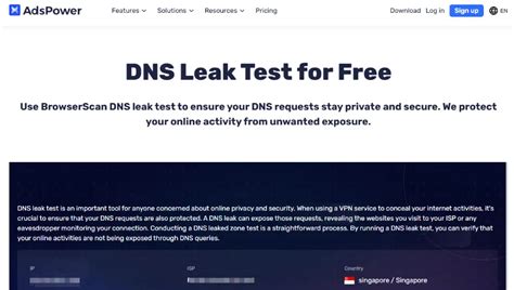 Dns Leak Detector