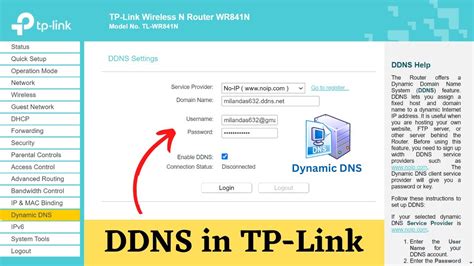 dns router tp link