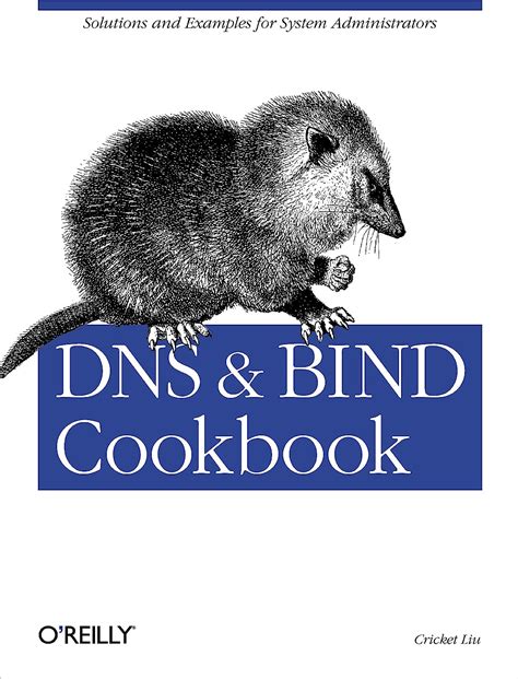 Read Dns Bind Cookbook 
