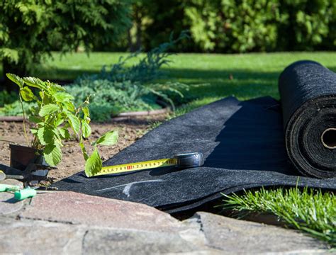 Do You Install Landscape Fabric Before Planting?