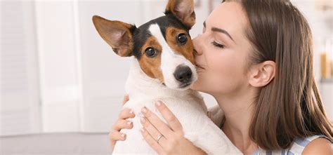 do dogs feel kisses symptoms images