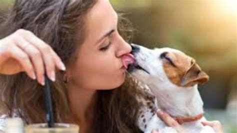 do dogs really kiss humans