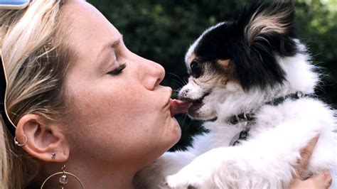 do dogs really kiss humans
