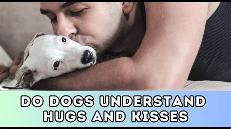 do dogs understand hugs and kisses
