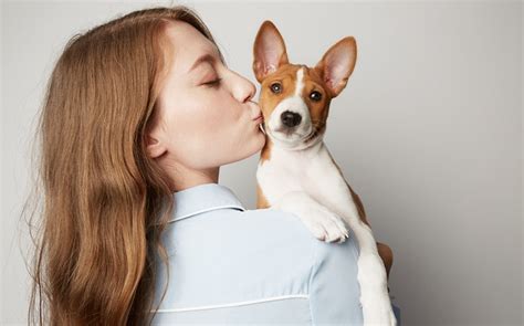 do dogs understand kisses from humans symptoms