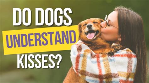 do dogs understand kisses from humans symptoms