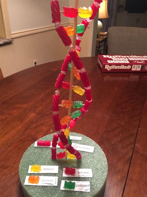 Do It Yourself Dna Stem Activity Science Buddies Dna Science Experiment - Dna Science Experiment