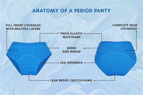 do period panties work for bladder leaks