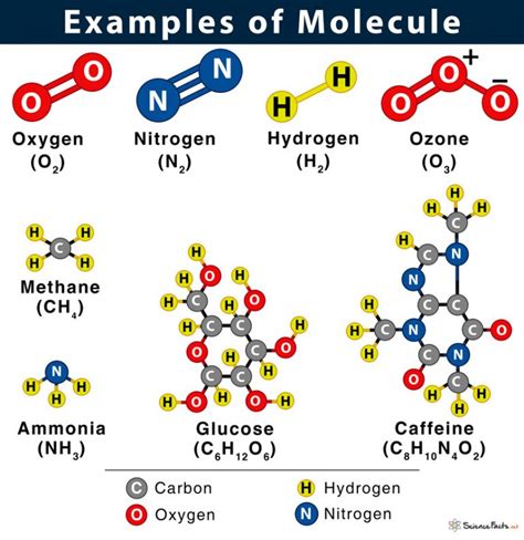 Do Smaller Molecules Have More Microstates