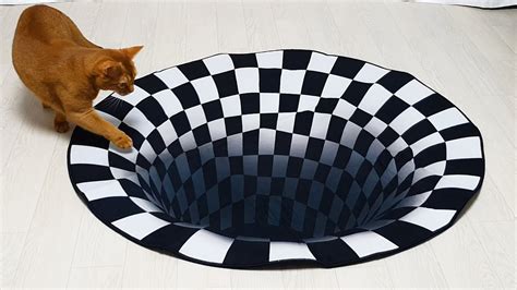 Do Visual Illusions Work On Cats Popular Science Science Of Cats - Science Of Cats