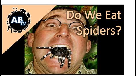 Do We Really Eat Spiders In Our Sleep Spider Science - Spider Science