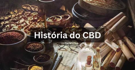 5 bet: Apostas Desportivas Online com Garantia de Segurança Financeira para Todos os Jogadores - Foto 2