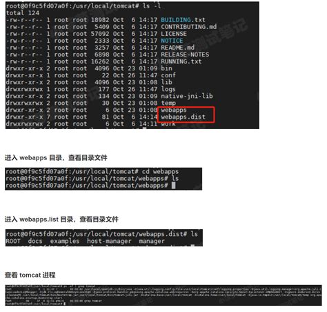 docker添加tomcat容器成功却无法访问首页解决办法