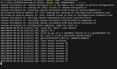docker container logs