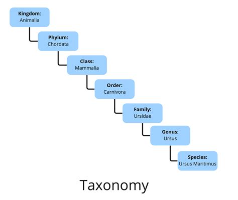 Read Document Taxonomy Sample 