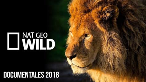 Documentales Animales
