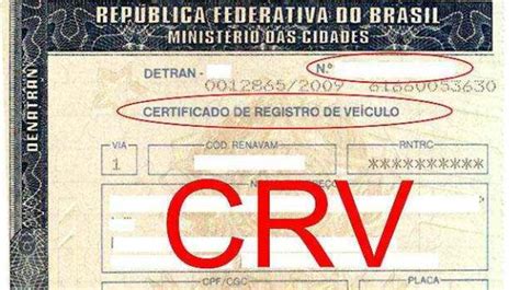 documento crv