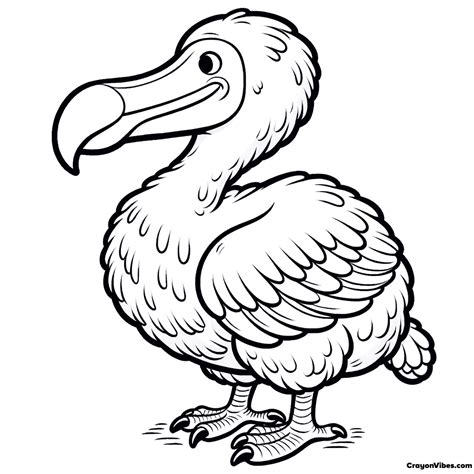 Dodo Bird Coloring Pages Free Amp Printable Dodo Bird Coloring Page - Dodo Bird Coloring Page