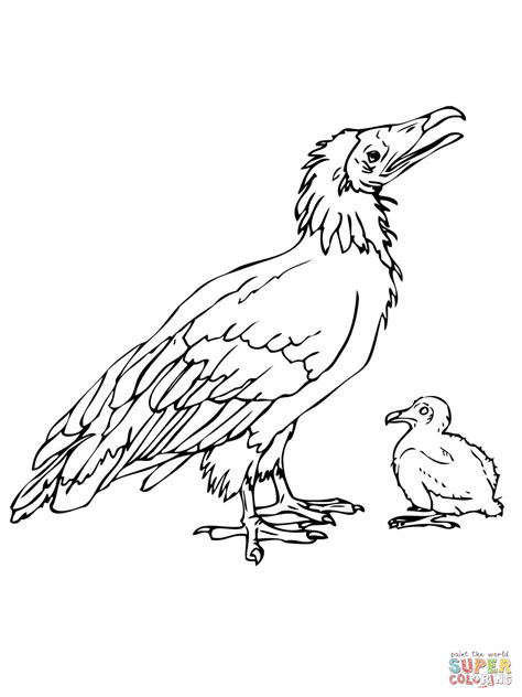 Dodo Bird With Chick Coloring Page Dodo Bird Coloring Page - Dodo Bird Coloring Page