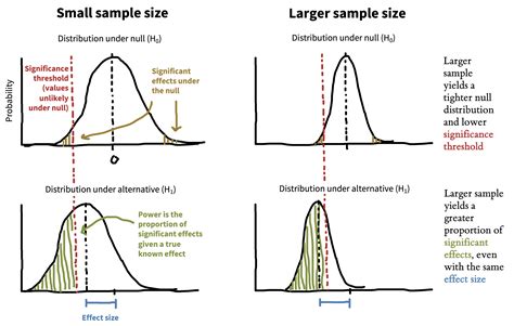 Does A Larger Sample Size Increase Variability