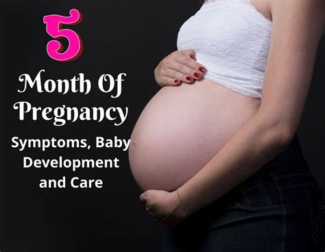 does baby move in 5th month pregnancy date