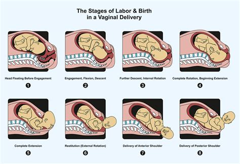 does baby movement indicate labor stages