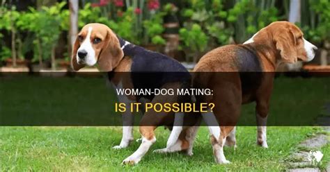 Does Dog Mate With Humans