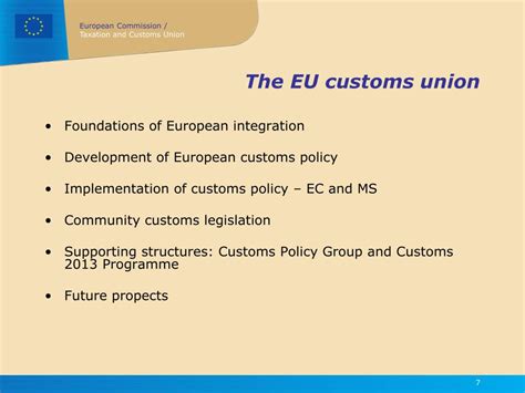 Does Integration With Eu Customs Union Matter For Intra