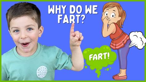 does it fart a kid s guide to the gas animals pass