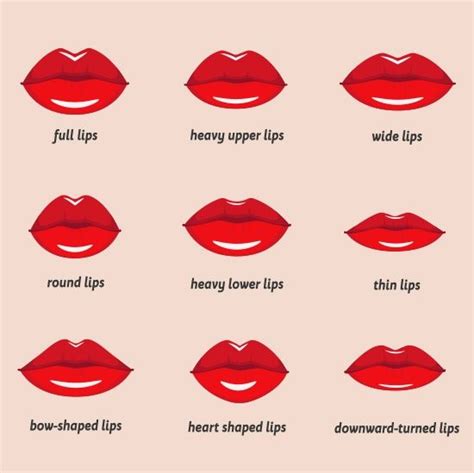 does kissing change your lip shape chart printable