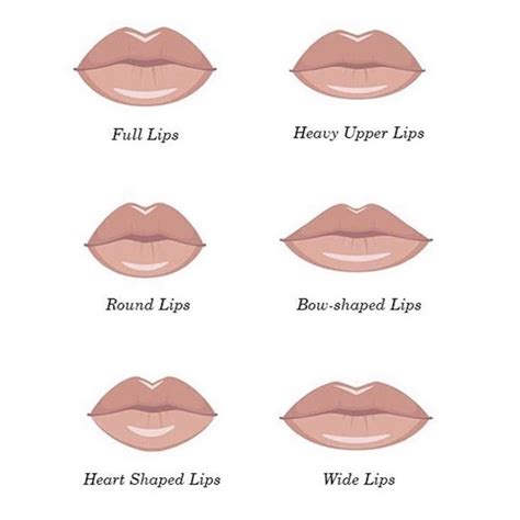 does kissing change your lip shape quiz