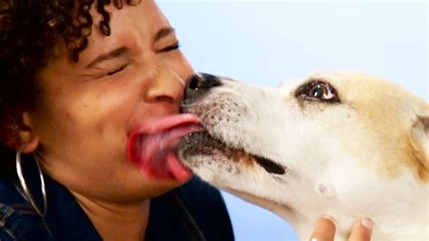 does lip shape affect kissing dogs videos funny