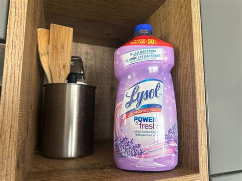 Does Lysol Kill Fleas