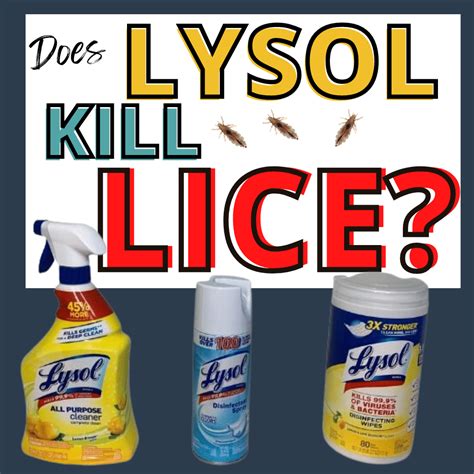 Does Lysol Kill Lice