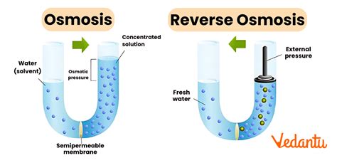 Does Osmosis Require Energy